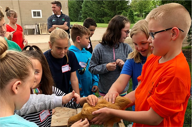 Children petting a chicken